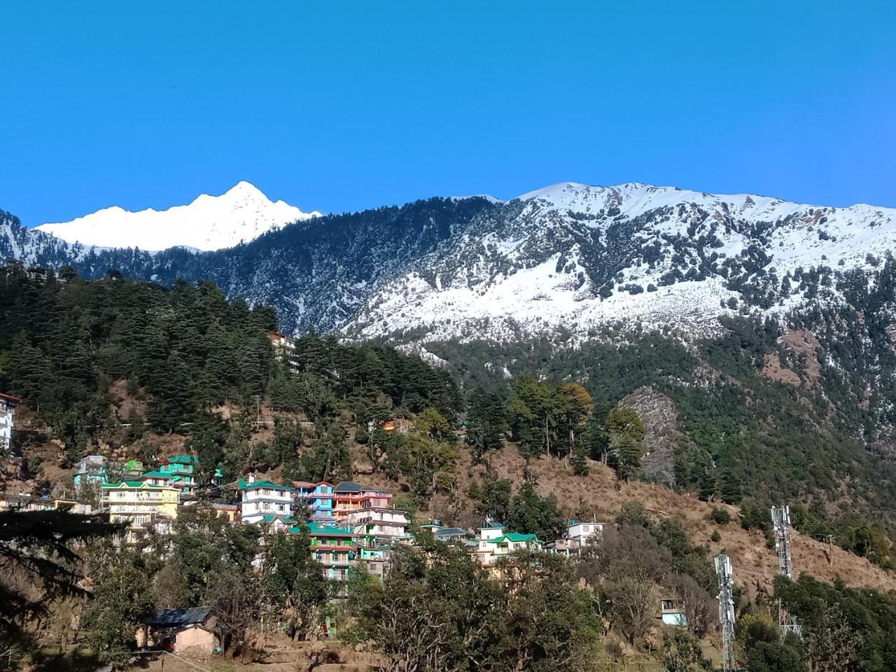 Hotel Pine Spring Dharamshala Exterior foto