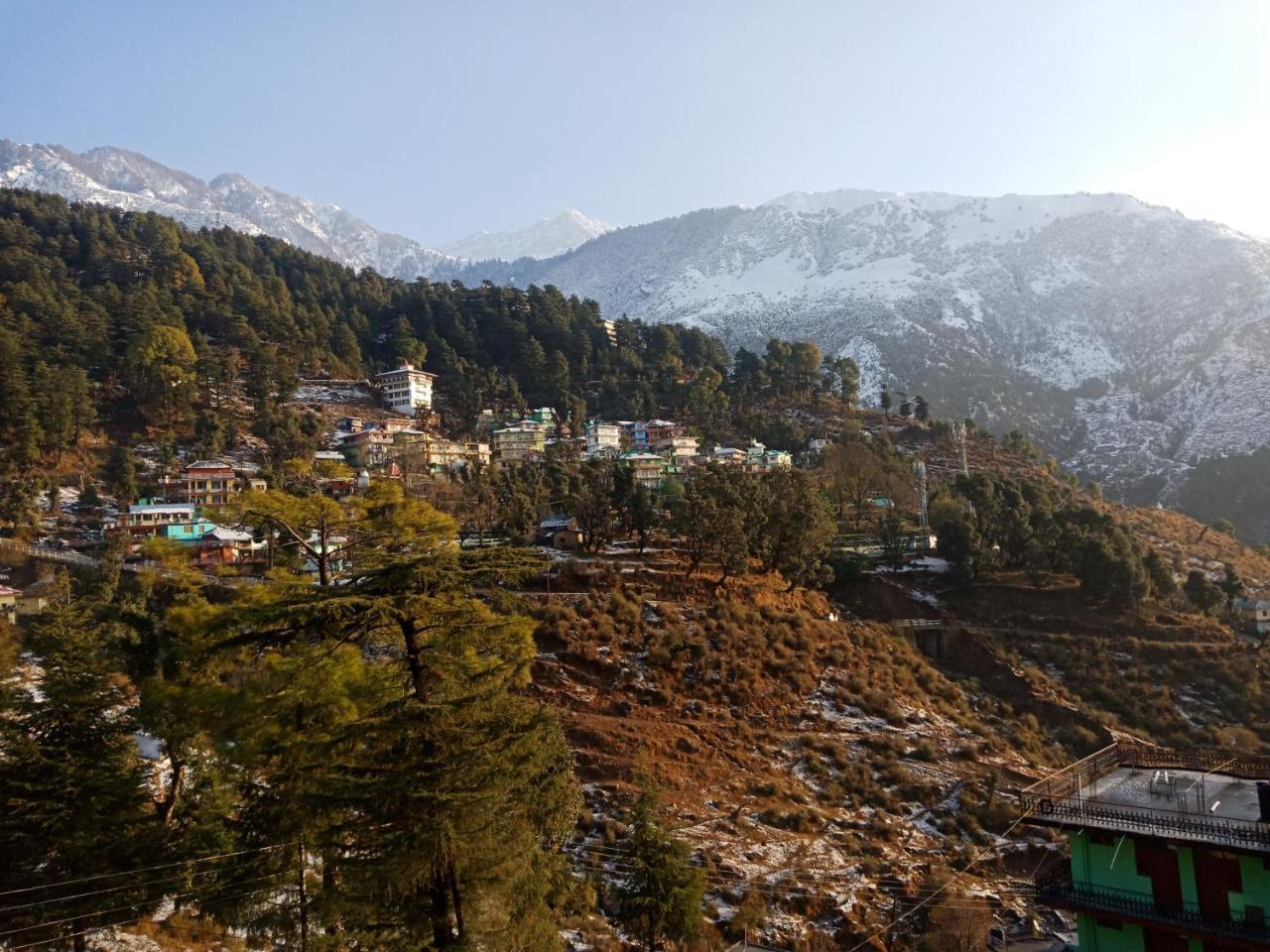 Hotel Pine Spring Dharamshala Exterior foto